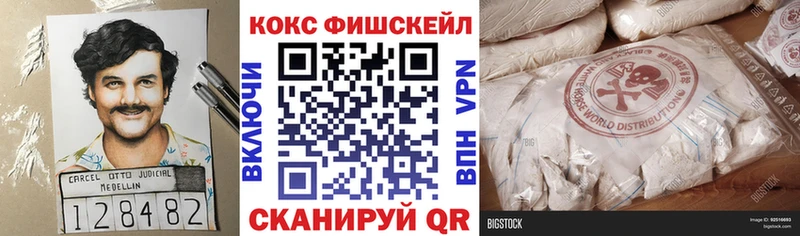 где купить Талица Кокаин Columbia