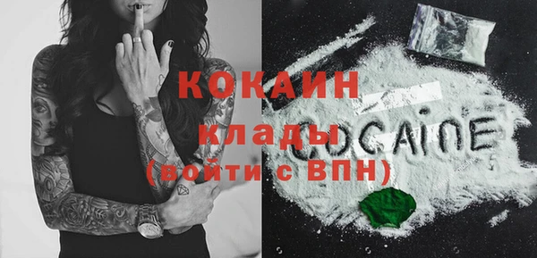 крисы Каменка