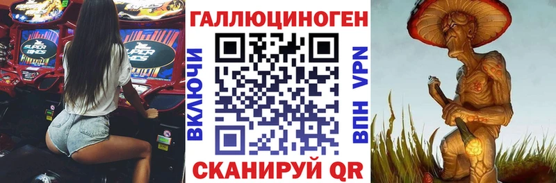 Псилоцибиновые грибы Psilocybe  Талица 