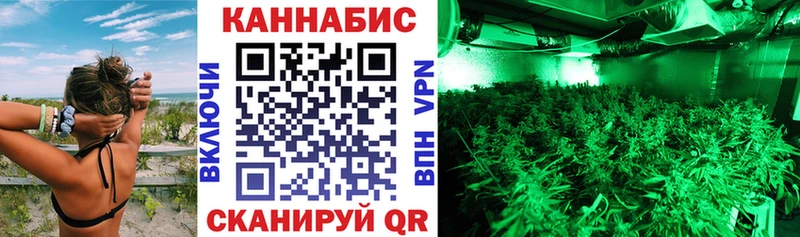 наркошоп  Талица  Каннабис SATIVA & INDICA 